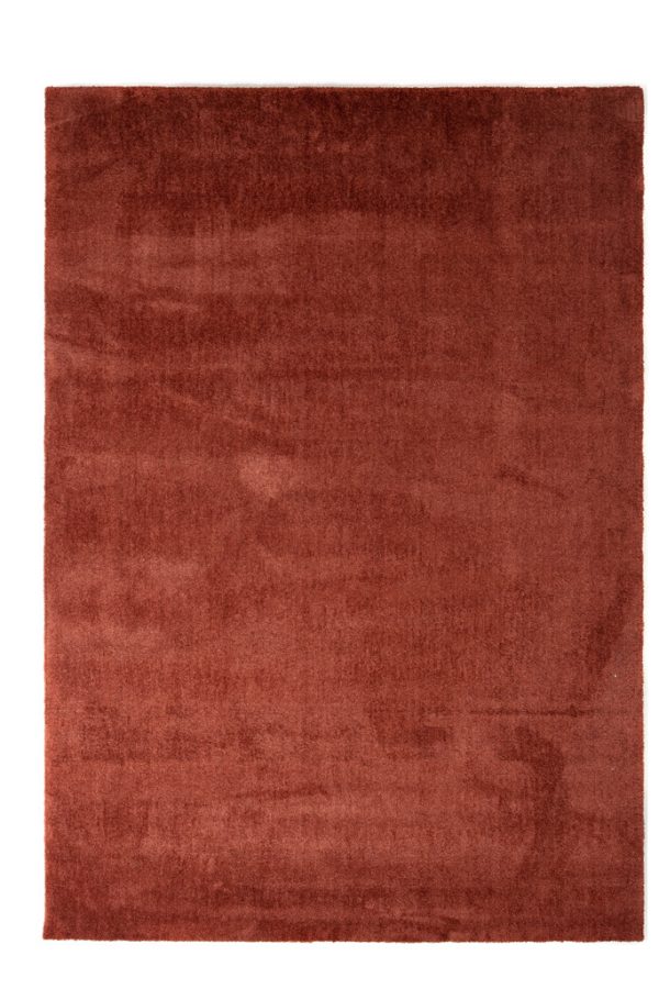Χαλί Feel 71351 013 Royal Carpet - 200 x 290 cm